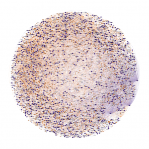 DataVis
