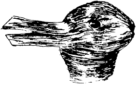 Optical illusion of the duck versus the rabbit