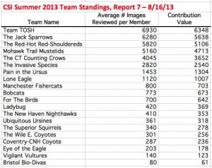 CSI Summer 2013 Team Standings 130816