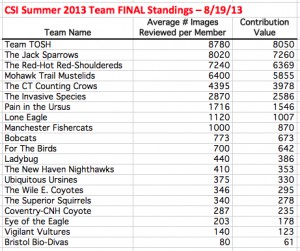 CSI Summer 2013 Team Standings 130819 (final)