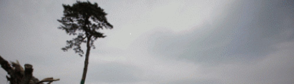 Disaster Archipelago: Japan