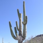 Profile picture of Gary Reger
